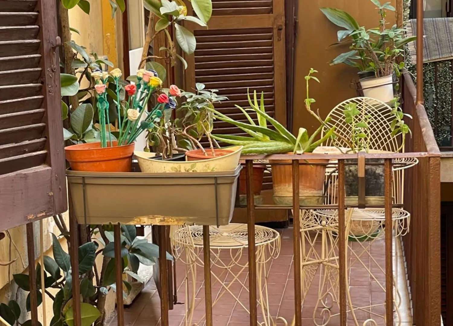Bed & Breakfast Rch Roman Central House